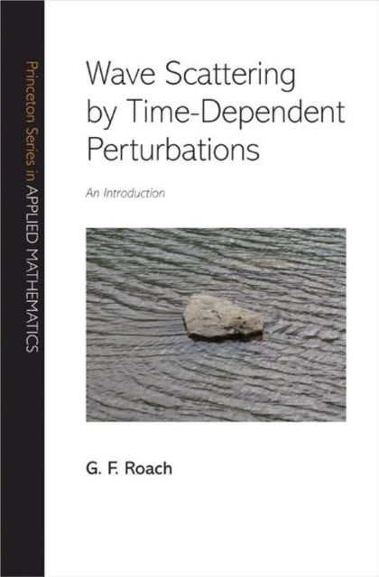 Book cover of: Wave Scattering by Time-Dependent Perturbations. By: G. F. Roach