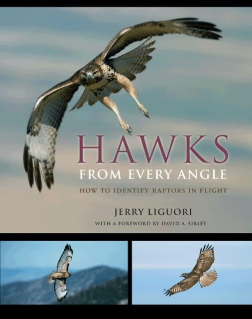 Book cover of: Hawks from Every Angle