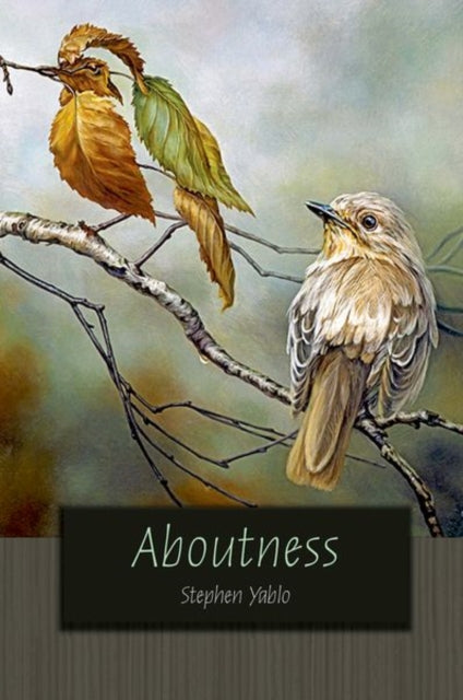 Book cover of: Aboutness. By: Stephen Yablo