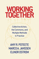 Book cover of: Working Together. By: Amy R. Poteete