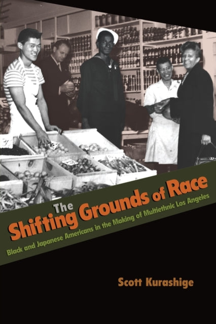 Book cover of: Shifting Grounds of Race