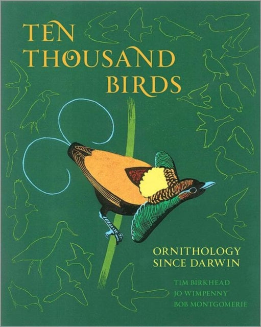 Book cover of: Ten Thousand Birds
