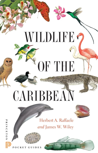 Book cover of: Wildlife of the Caribbean