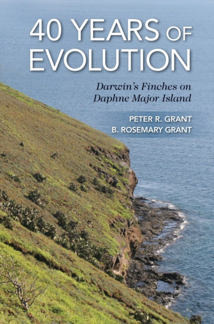 Book cover of: 40 Years of Evolution
