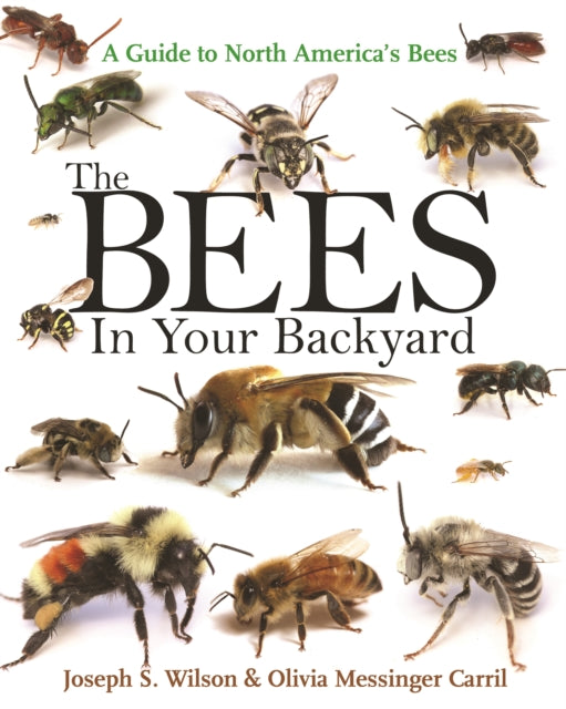 Book cover of: Bees in Your Backyard. By: Joseph S. Wilson