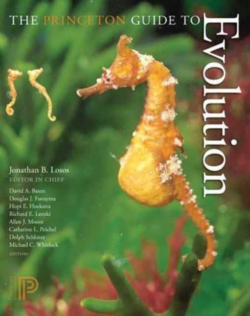 Book cover of: Princeton Guide to Evolution
