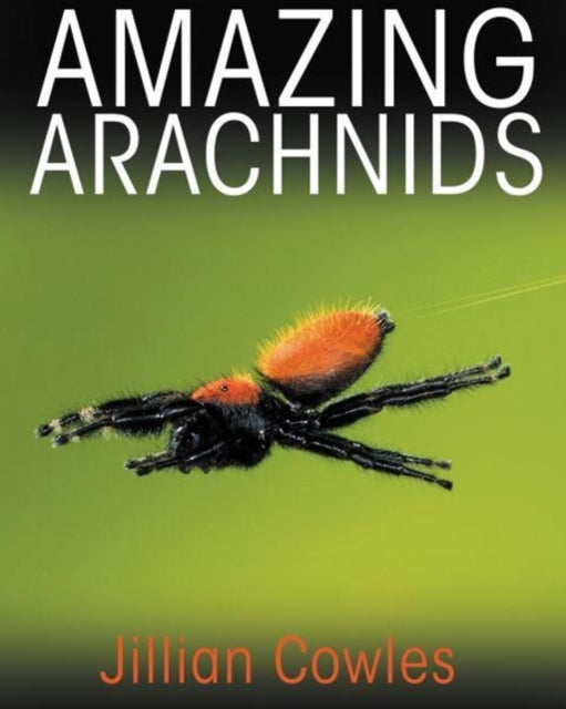 Book cover of: Amazing Arachnids. By: Jillian Cowles