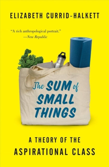 Book cover of: Sum of Small Things. By: Elizabeth Currid-Halkett