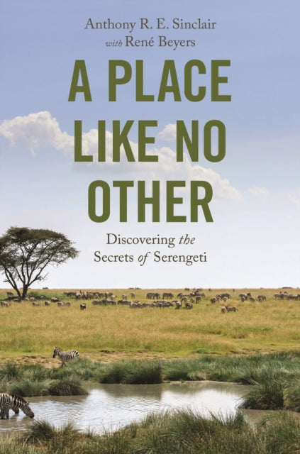 Book cover of: Place like No Other