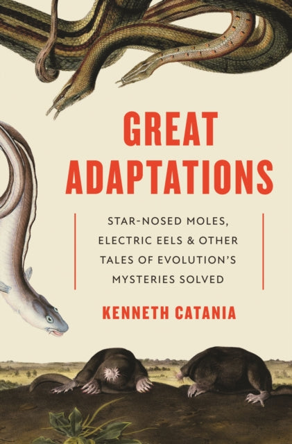 Book cover of: Great Adaptations. By: Kenneth Catania