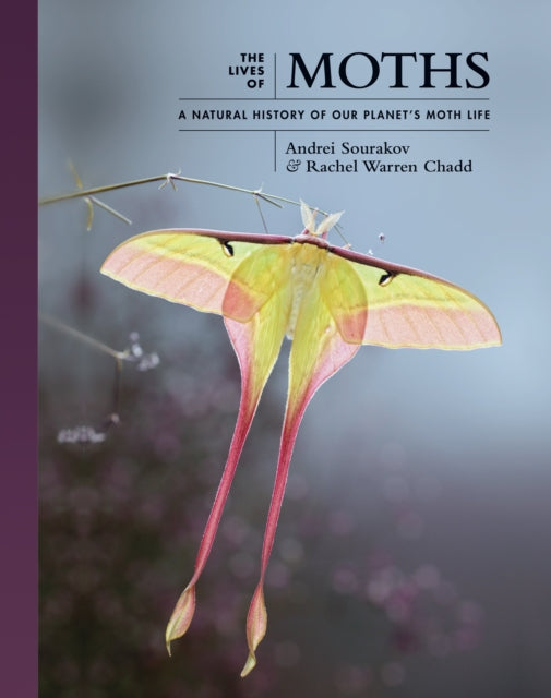 Book cover of: Lives of Moths. By: Andrei Sourakov