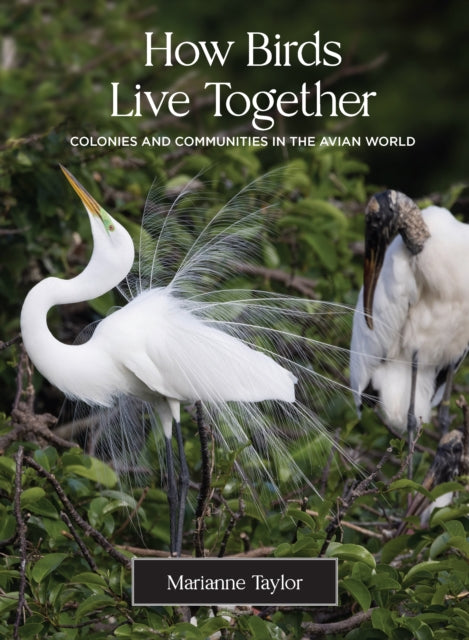 Book cover of: How Birds Live Together. By: Marianne Taylor