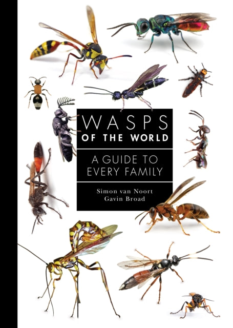 Book cover of: Wasps of the World. By: Simon van Noort