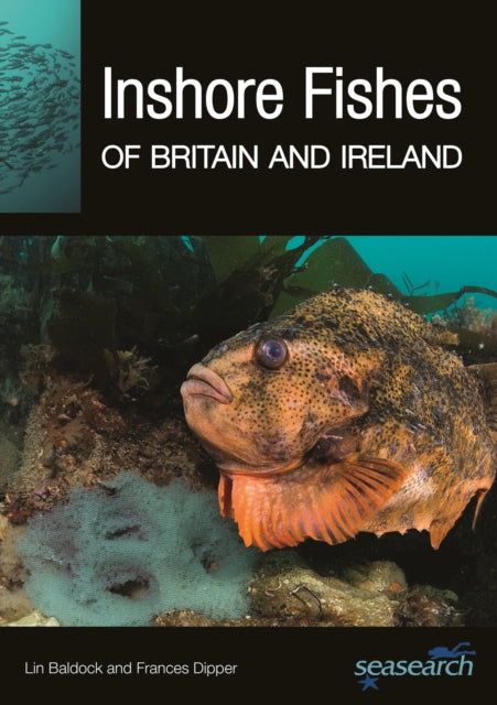 Book cover of: Inshore Fishes of Britain and Ireland. By: Lin Baldock