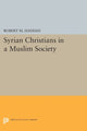 Book cover of: Syrian Christians in a Muslim Society. By: Robert M Haddad