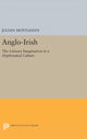 Book cover of: Anglo-Irish. By: Julian Moynahan