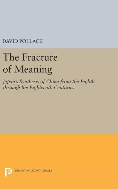 Book cover of: Fracture of Meaning. By: David Pollack