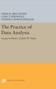 Book cover of: Practice of Data Analysis. By: David R. Brillinger
