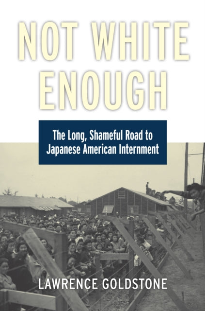 Book cover of: Not White Enough. By: Lawrence Goldstone