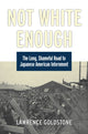 Book cover of: Not White Enough. By: Lawrence Goldstone