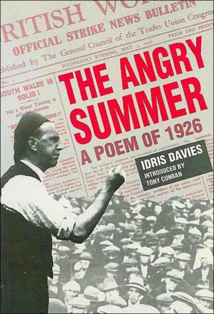 Book cover of: Angry Summer
