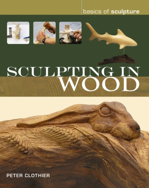 Book cover of: Sculpting in Wood