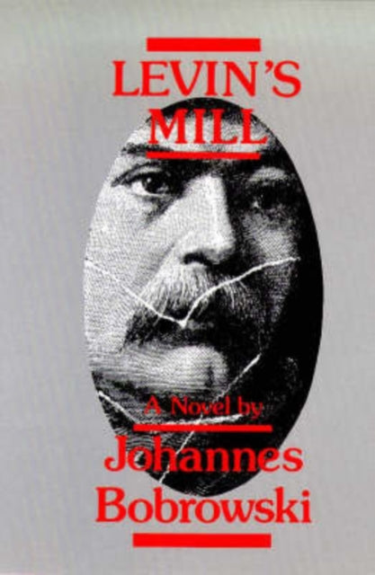 Book cover of: Levin's Mill
