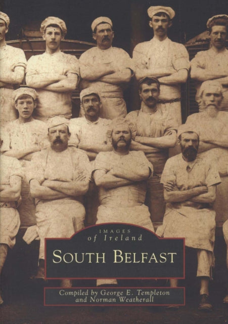 Book cover of: South Belfast: Images of Ireland