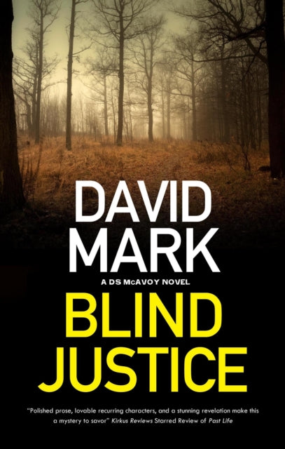 Blind Justice 9780727850546 David Mark