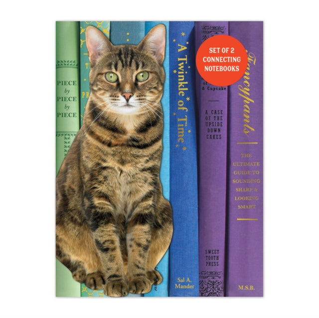 Book cover of: Queen of the Stacks Connecting Notebook Set