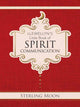 Book cover of: Llewellyn's Little Book of Spirit Communication