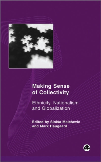 Book cover of: Making Sense of Collectivity