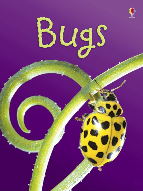 Bugs 9780746080375 Lucy Bowman