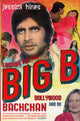 Book cover of: Looking for the Big B. By: Jessica Hines