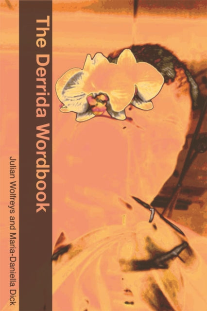 Book cover of: Derrida Wordbook. By: Julian Wolfreys