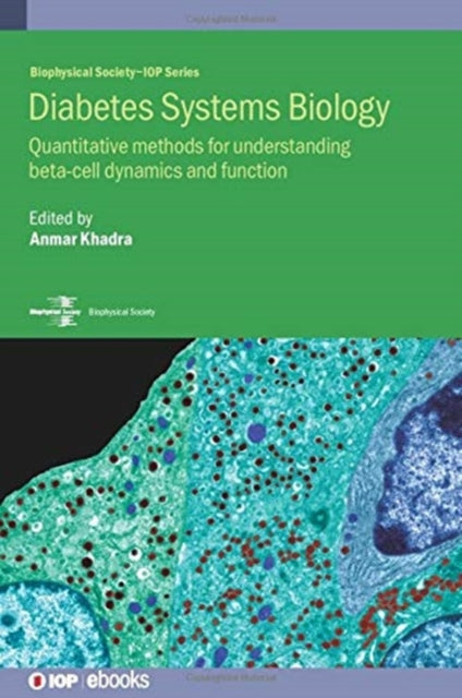Book cover of: Diabetes Systems Biology. By: KHADRA