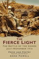 Book cover of: Fierce Light