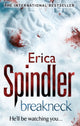 Book cover of: Breakneck. By: Erica Spindler