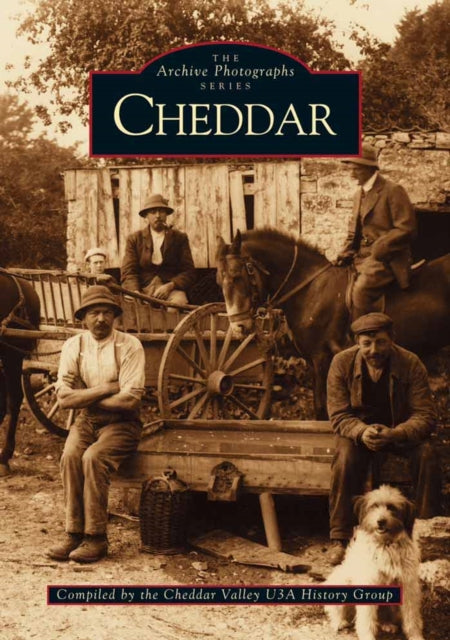 Book cover of: Cheddar