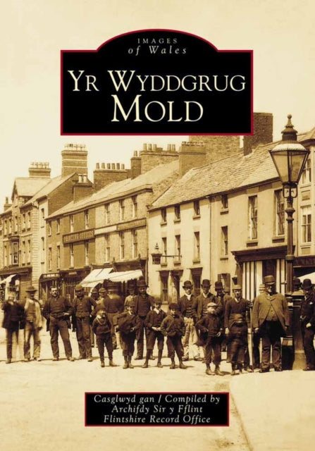 Book cover of: Mold