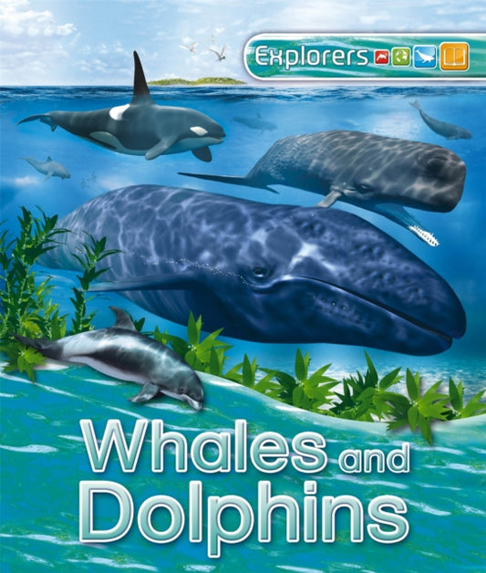 Book cover of: Explorers: Whales and Dolphins. By: Anita Ganeri
