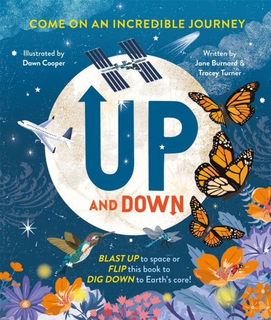 Book cover of: Up and Down. By: Tracey Turner