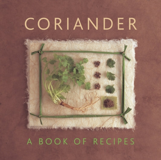 Coriander
