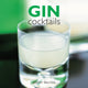 Gin Cocktails 9780754833710 Stuart Walton