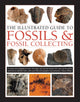 Fossils & Fossil Collecting, The Illustrated Guide to, A reference guide to over 375 plant and animal fossils from around the globe and how to identify them, with over 950 photographs and artworks 9780754834892 Steve Parker