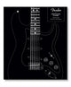 Book cover of: Fender Stratocaster 70 Years. By: Dave Hunter