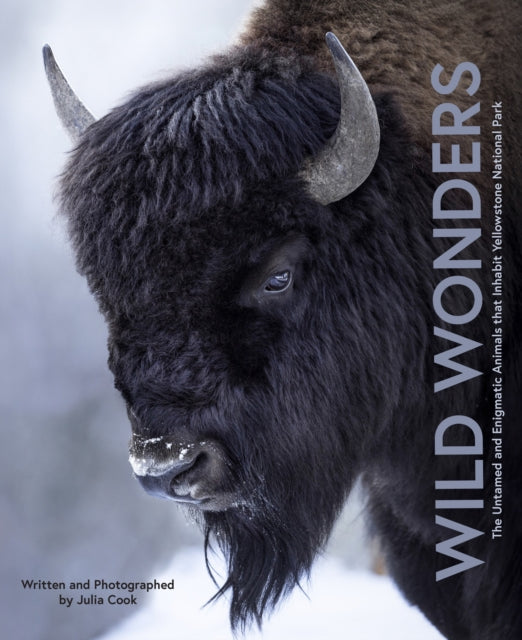 Wild Wonders, The Untamed and Enigmatic Animals that Inhabit Yellowstone National Park 9780760394083 Julia Cook