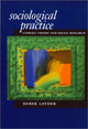 Book cover of: Sociological Practice