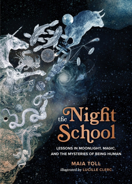 Book cover of: Night School. By: Maia Toll