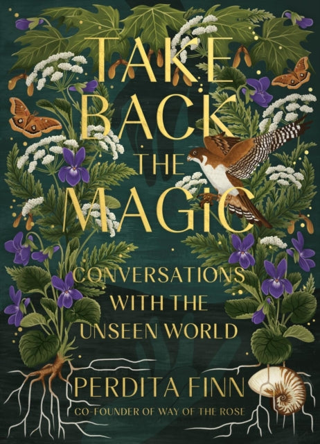 Book cover of: Take Back the Magic. By: Perdita Finn